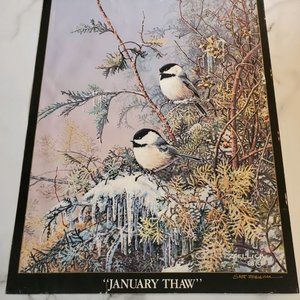 JANUARY THAW Chickadee Poster by Scott Zoellick